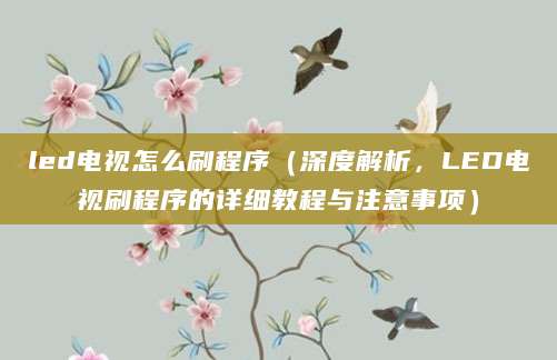 led电视怎么刷程序（深度解析，LED电视刷程序的详细教程与注意事项）