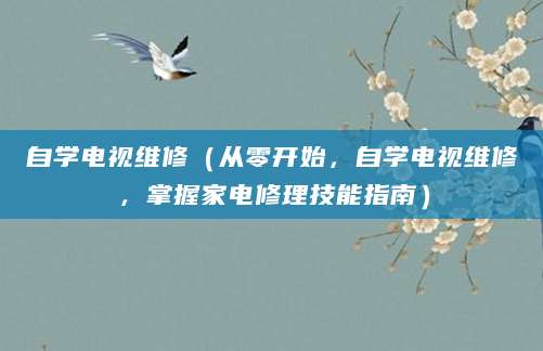 自学电视维修（从零开始，自学电视维修，掌握家电修理技能指南）