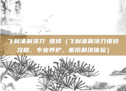 飞利浦剃须刀 维修（飞利浦剃须刀维修攻略，专业养护，重拾剃须体验）
