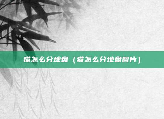猫怎么分地盘（猫怎么分地盘图片）
