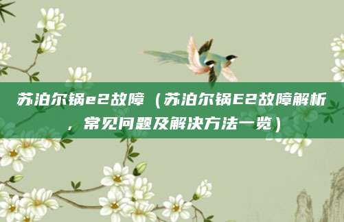 苏泊尔锅e2故障（苏泊尔锅E2故障解析，常见问题及解决方法一览）