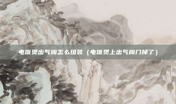 电饭煲出气阀怎么组装(电饭煲上出气阀门掉了)