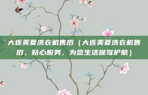 大连美菱洗衣机售后（大连美菱洗衣机售后，贴心服务，为您生活保驾护航）