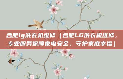 合肥lg洗衣机维修（合肥LG洗衣机维修，专业服务保障家电安全，守护家庭幸福）