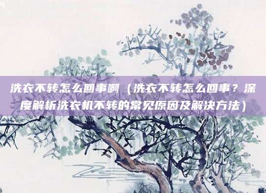 洗衣不转怎么回事啊（洗衣不转怎么回事？深度解析洗衣机不转的常见原因及解决方法）