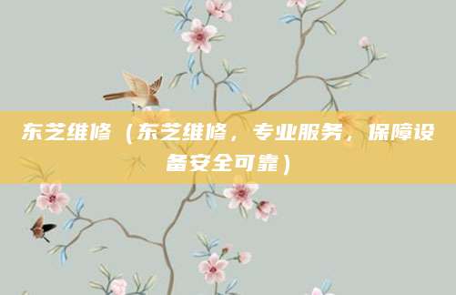 东芝维修（东芝维修，专业服务，保障设备安全可靠）