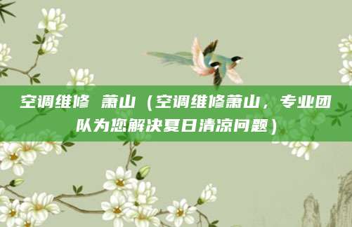 空调维修 萧山（空调维修萧山，专业团队为您解决夏日清凉问题）