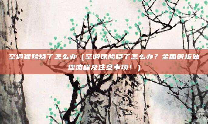 空调保险烧了怎么办（空调保险烧了怎么办？全面解析处理流程及注意事项！）