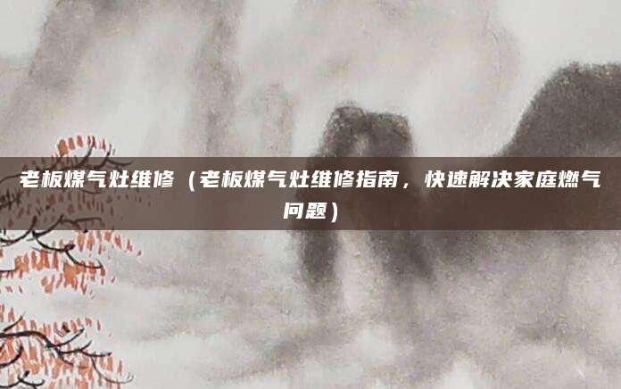 老板煤气灶维修（老板煤气灶维修指南，快速解决家庭燃气问题）
