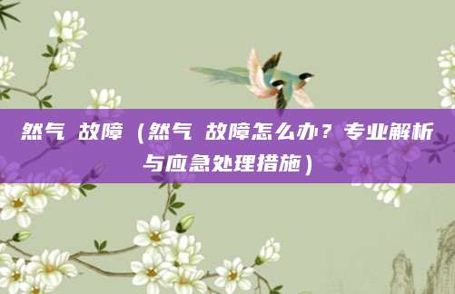 然气炤故障(然气炤故障怎么办?专业解析与应急处理措施)