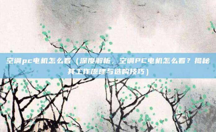 空调pc电机怎么看(深度解析,空调PC电机怎么看?揭秘其工作原理与选购技巧)