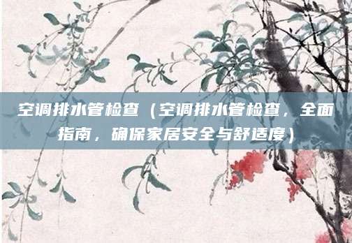 空调排水管检查（空调排水管检查，全面指南，确保家居安全与舒适度）