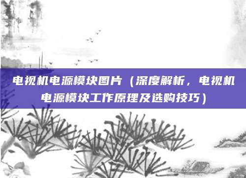 电视机电源模块图片（深度解析，电视机电源模块工作原理及选购技巧）