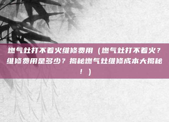 燃气灶打不着火维修费用（燃气灶打不着火？维修费用是多少？揭秘燃气灶维修成本大揭秘！）