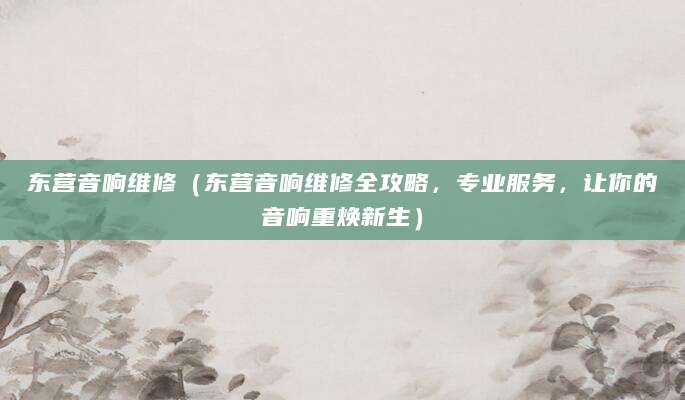 东营音响维修（东营音响维修全攻略，专业服务，让你的音响重焕新生）