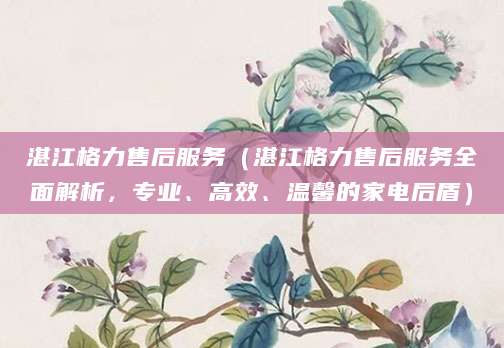 湛江格力售后服务（湛江格力售后服务全面解析，专业、高效、温馨的家电后盾）