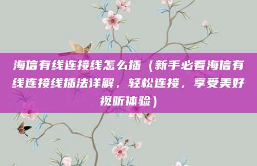 海信有线连接线怎么插（新手必看海信有线连接线插法详解，轻松连接，享受美好视听体验）
