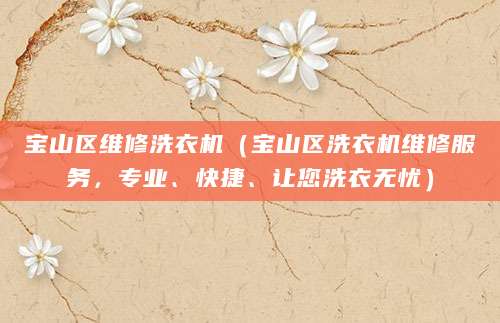 宝山区维修洗衣机（宝山区洗衣机维修服务，专业、快捷、让您洗衣无忧）