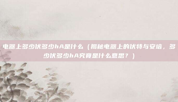 电器上多少伏多少hA是什么（揭秘电器上的伏特与安培，多少伏多少hA究竟是什么意思？）