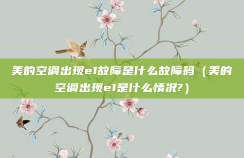 美的空调出现e1故障是什么故障码（美的空调出现e1是什么情况?）