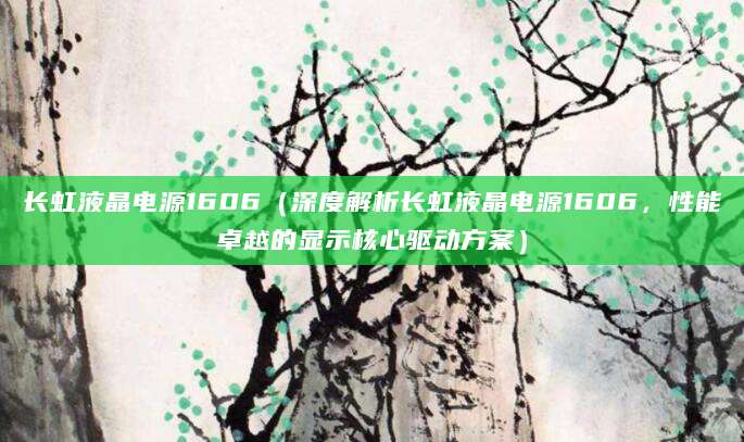 长虹液晶电源1606（深度解析长虹液晶电源1606，性能卓越的显示核心驱动方案）