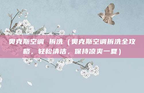 奥克斯空调 拆洗（奥克斯空调拆洗全攻略，轻松清洁，保持凉爽一夏）