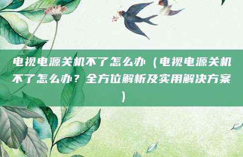 电视电源关机不了怎么办（电视电源关机不了怎么办？全方位解析及实用解决方案）
