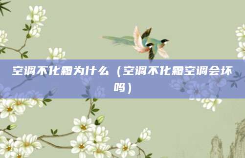 空调不化霜为什么(空调不化霜空调会坏吗)