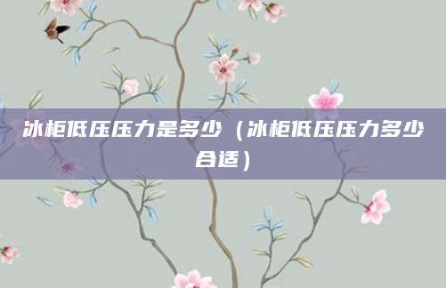 冰柜低压压力是多少（冰柜低压压力多少合适）