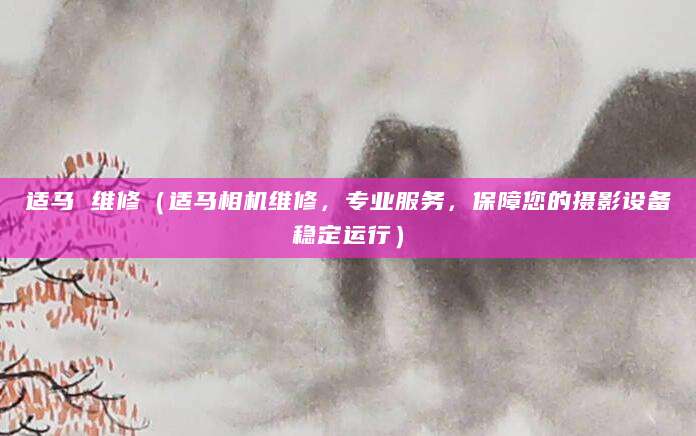 适马 维修（适马相机维修，专业服务，保障您的摄影设备稳定运行）