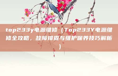 top233y电源维修（Top233Y电源维修全攻略，故障排查与维护保养技巧解析）