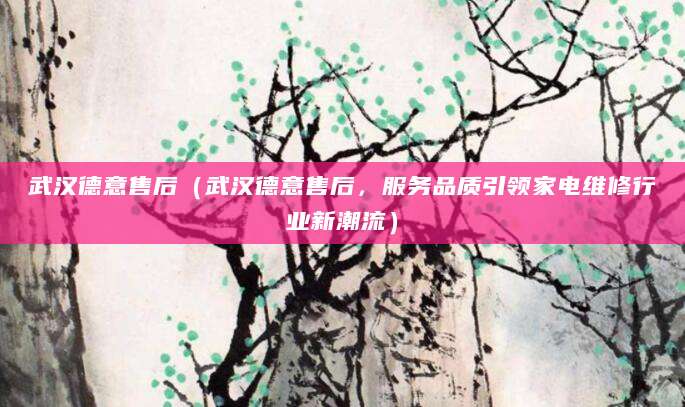 武汉德意售后（武汉德意售后，服务品质引领家电维修行业新潮流）