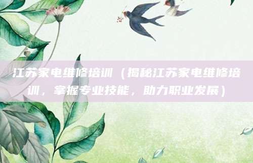 江苏家电维修培训（揭秘江苏家电维修培训，掌握专业技能，助力职业发展）