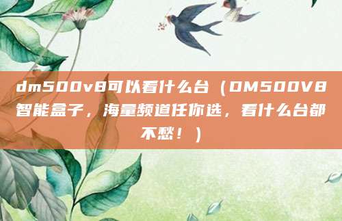 dm500v8可以看什么台（DM500V8智能盒子，海量频道任你选，看什么台都不愁！）