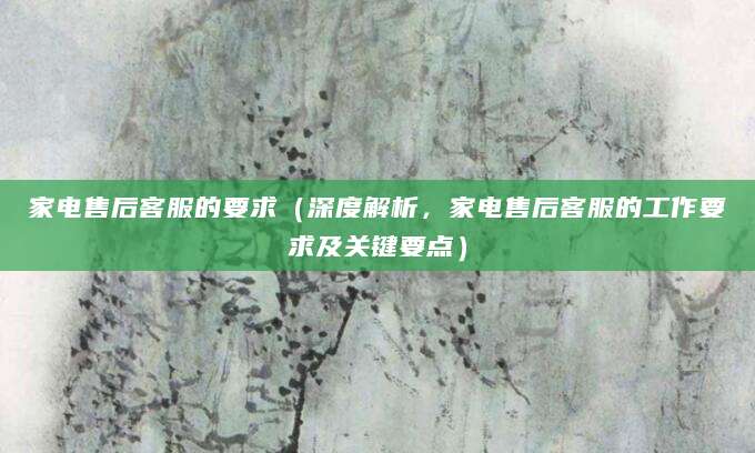 家电售后客服的要求（深度解析，家电售后客服的工作要求及关键要点）