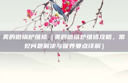 美的微锅炉维修（美的微锅炉维修攻略，常见问题解决与保养要点详解）