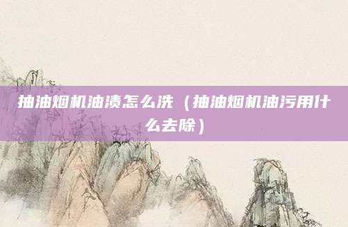 抽油烟机油渍怎么洗（抽油烟机油污用什么去除）