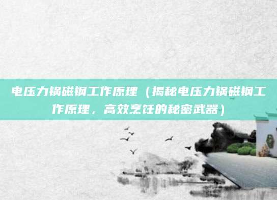 电压力锅磁钢工作原理（揭秘电压力锅磁钢工作原理，高效烹饪的秘密武器）