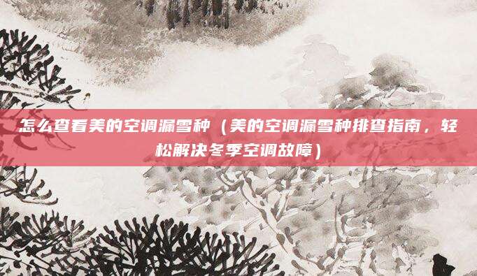 怎么查看美的空调漏雪种（美的空调漏雪种排查指南，轻松解决冬季空调故障）
