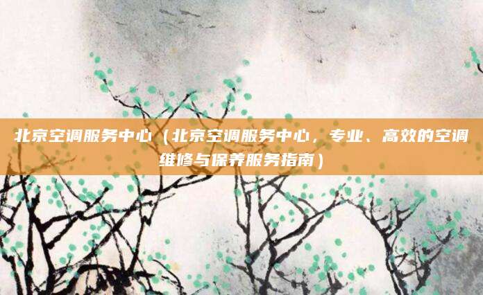 北京空调服务中心（北京空调服务中心，专业、高效的空调维修与保养服务指南）