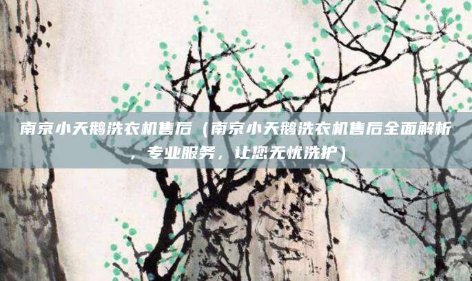 南京小天鹅洗衣机售后（南京小天鹅洗衣机售后全面解析，专业服务，让您无忧洗护）