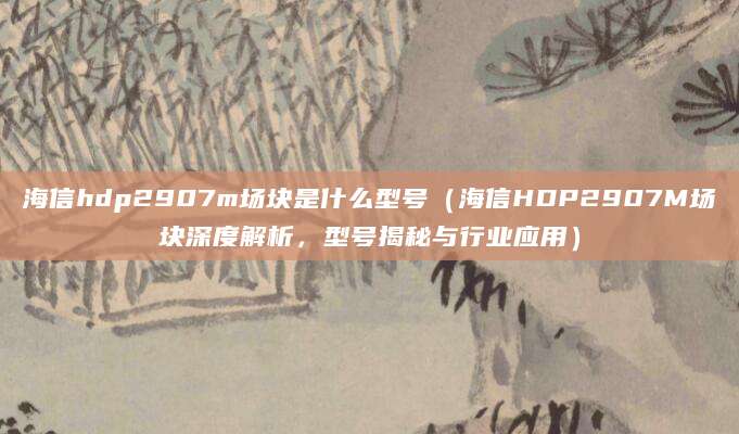 海信hdp2907m场块是什么型号（海信HDP2907M场块深度解析，型号揭秘与行业应用）
