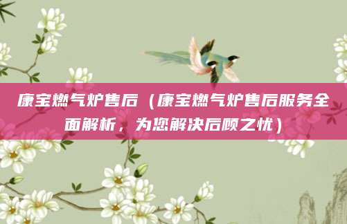 康宝燃气炉售后（康宝燃气炉售后服务全面解析，为您解决后顾之忧）