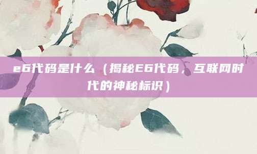 e6代码是什么（揭秘E6代码，互联网时代的神秘标识）