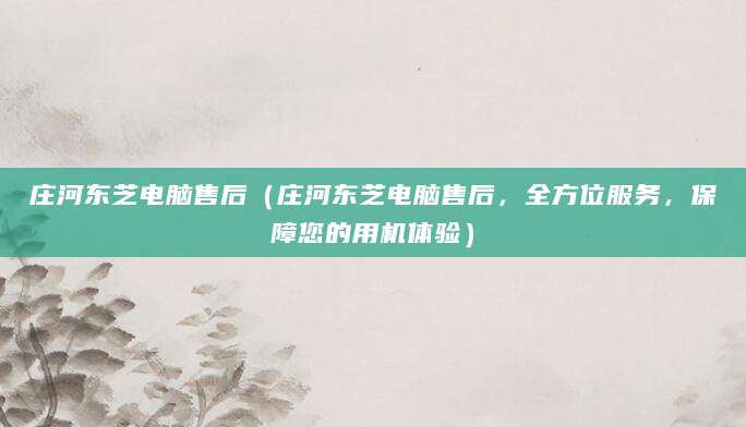 庄河东芝电脑售后（庄河东芝电脑售后，全方位服务，保障您的用机体验）