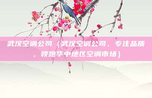武汉空调公司（武汉空调公司，专注品质，领跑华中地区空调市场）