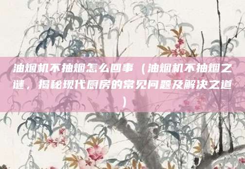 油烟机不抽烟怎么回事（油烟机不抽烟之谜，揭秘现代厨房的常见问题及解决之道）