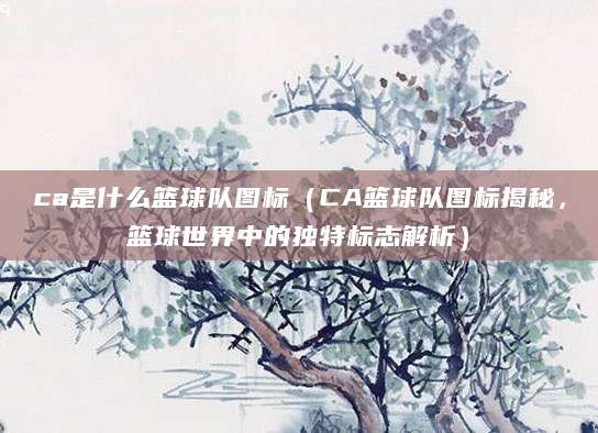 ca是什么篮球队图标（CA篮球队图标揭秘，篮球世界中的独特标志解析）