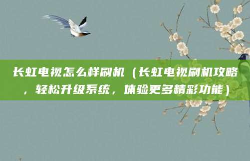 长虹电视怎么样刷机（长虹电视刷机攻略，轻松升级系统，体验更多精彩功能）