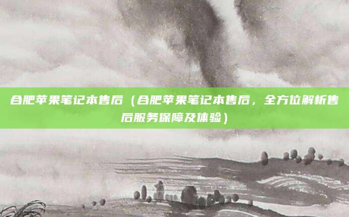 合肥苹果笔记本售后（合肥苹果笔记本售后，全方位解析售后服务保障及体验）